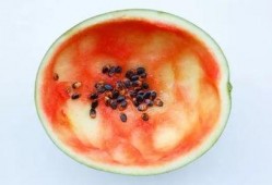 网红吃瓜勺子图片大全大图,趣味横生的美食潮流瞬间