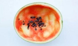 网红吃瓜勺子图片大全大图,趣味横生的美食潮流瞬间