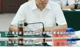 湖北阳新新闻爆料,突发事件引发关注，详情即将揭晓