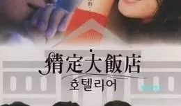 情定大饭店在线观看,浪漫邂逅，命运交织的温馨故事