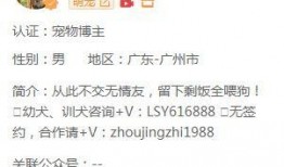 火爆视频爆料网站有哪些,盘点那些火爆网络的热门平台