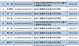 岳阳市最新爆料案件名单,多起案件引发社会关注