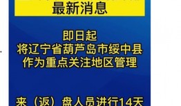 王先生爆料东莞疫情视频,王先生亲述疫情现状