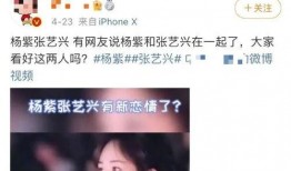 杨紫爆料卓伟视频,揭秘娱乐圈幕后风波
