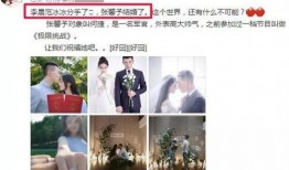 新乡爆料婚姻破裂视频,真相令人唏嘘