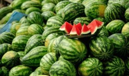 吃瓜健身网红叫什么名字,揭秘网红“吃瓜健身”的健身秘诀