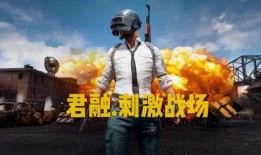 吃鸡新爆料最新消息视频,揭秘游戏最新动态与亮点