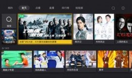 电视卫视直播在线观看,尽享精彩瞬间