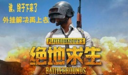 吃鸡新爆料最新消息视频,揭秘游戏最新动态与亮点