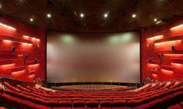 有家影院在线观看,有家影院在线观影新体验