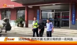 松原市最新爆料,揭秘城市变迁背后的故事