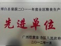 广西博白今日头条爆料,详情速看！