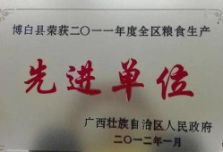 广西博白今日头条爆料,详情速看！