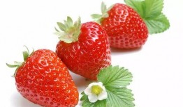 草莓娱乐吃瓜酱,揭秘娱乐圈那些不为人知的幕后故事