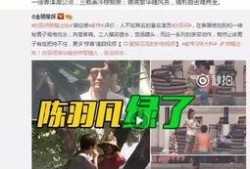 湛江出轨爆料事件视频播放,真相与舆论的碰撞