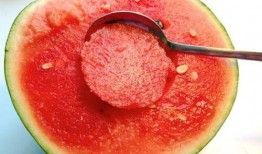 网红吃瓜勺子图片大全大图,趣味横生的美食潮流瞬间