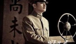 少帅电视剧在线观看全集,风云再起，传奇一生