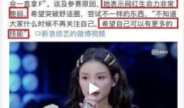 明星家暴爆料热搜事件视频,真相与反思