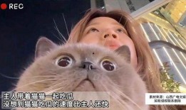 吃瓜猫娱乐,揭秘娱乐圈幕后故事，带你领略明星真实生活