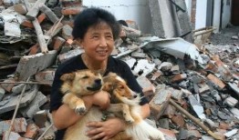 爆料救助流浪狗犯法吗视频,揭秘“爆料救助犯法”真相