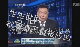 原神爆料央视新闻视频下载,揭秘游戏幕后制作过程