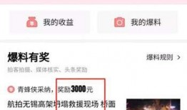 今日头条易爆料怎么解决,实用解决方案全解析