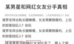 824页吃瓜免费阅读,揭秘娱乐圈背后的秘密与真相