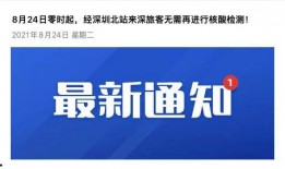 深圳最新爆料消息,揭秘科技巨头新动向与城市未来蓝图