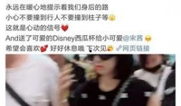 人品爆料宋茜视频播放,真实一面引发网友热议