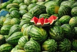 临沂网红吃瓜事件真相,真相背后的网络风波