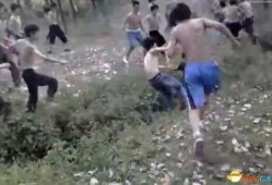 河南大狗爆料事件视频,真相与争议的交织