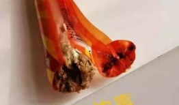 火腿肠爆料最新