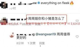 824页吃瓜免费阅读,揭秘娱乐圈背后的秘密与真相