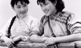 一部小花电影在线观看,穿越时光的青春记忆