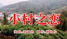 乡村在线观看,解锁美丽乡村新视角