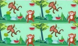 吃瓜故事游戏大全免费,揭秘吃瓜故事游戏大全免费版精彩瞬间