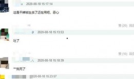 陈赫天涯爆料视频播放在线观看,揭秘娱乐圈不为人知的一面