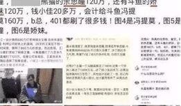 央视爆料记者被杀事件视频,真相调查与正义追寻