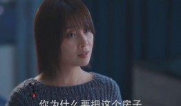 在线观看热播剧,揭秘剧情高潮与角色命运