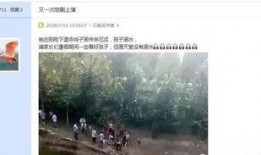 清河李哥爆料事件视频播放,真相与舆论的碰撞
