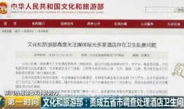 乐山酒店爆料视频曝光最新,揭秘酒店内幕，引发公众关注