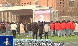 武汉第九中学爆料事件视频,揭秘校园内幕引发社会关注