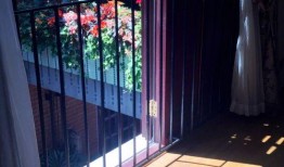 金星豪宅爆料视频大全,独家爆料视频大全深度解析