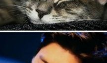 吃瓜猫娱乐,揭秘娱乐圈幕后故事，带你领略明星真实生活