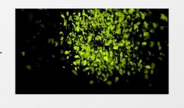 树叶最新爆料视频下载,幕后真相大起底