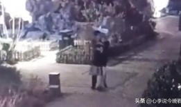 第二轮吃瓜视频完整版免费观看,完整版免费观看，揭秘幕后真相