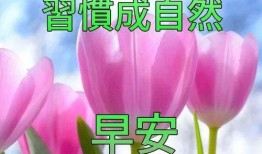 早安最新爆料图片卡通,卡通形象惊艳亮相，揭秘神秘新项目