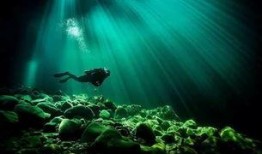 水底世界爆料视频完整版