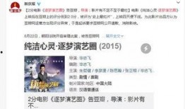 娱乐圈豆瓣爆料事件,真相与谣言的交织