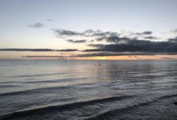 瓜洲免费吃瓜在哪了,探寻美食新地标